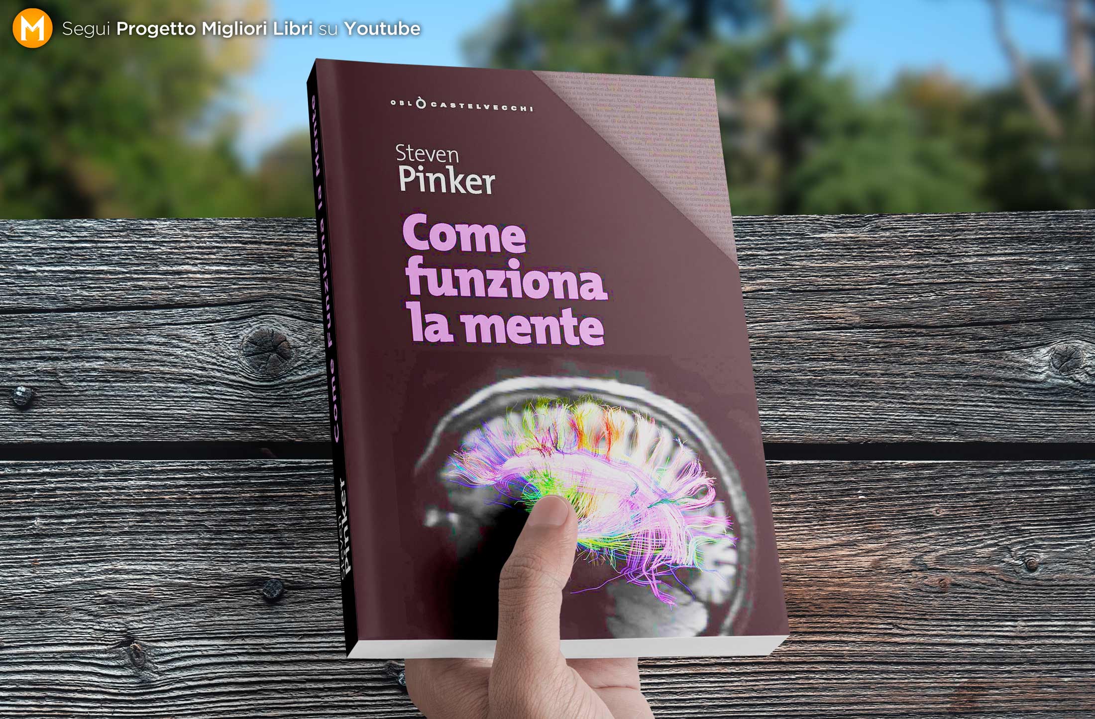 steven-pinker-come-funziona-la-mente