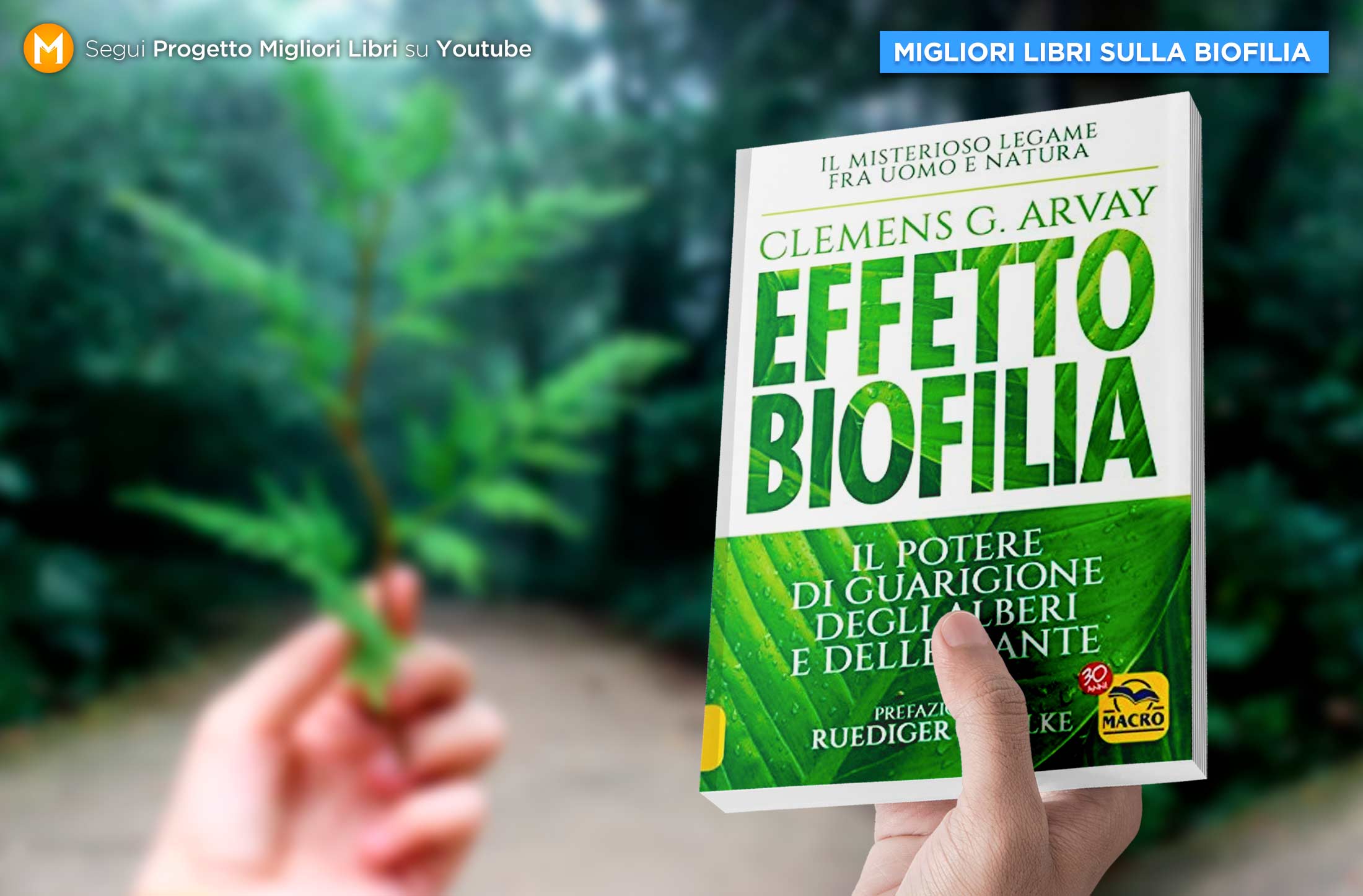 migliori-libri-sulla-biofilia