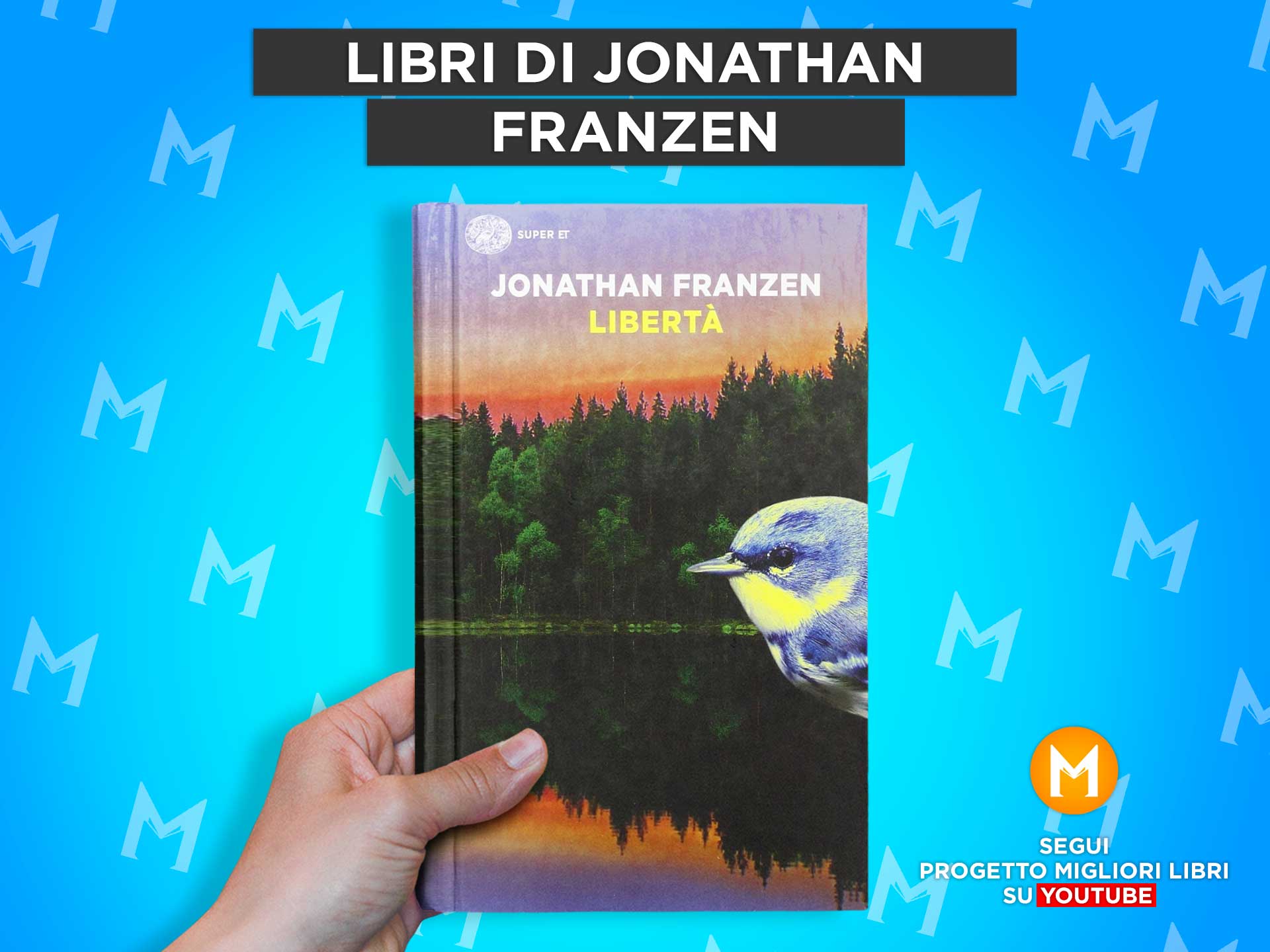 libri-jonathan-franzen